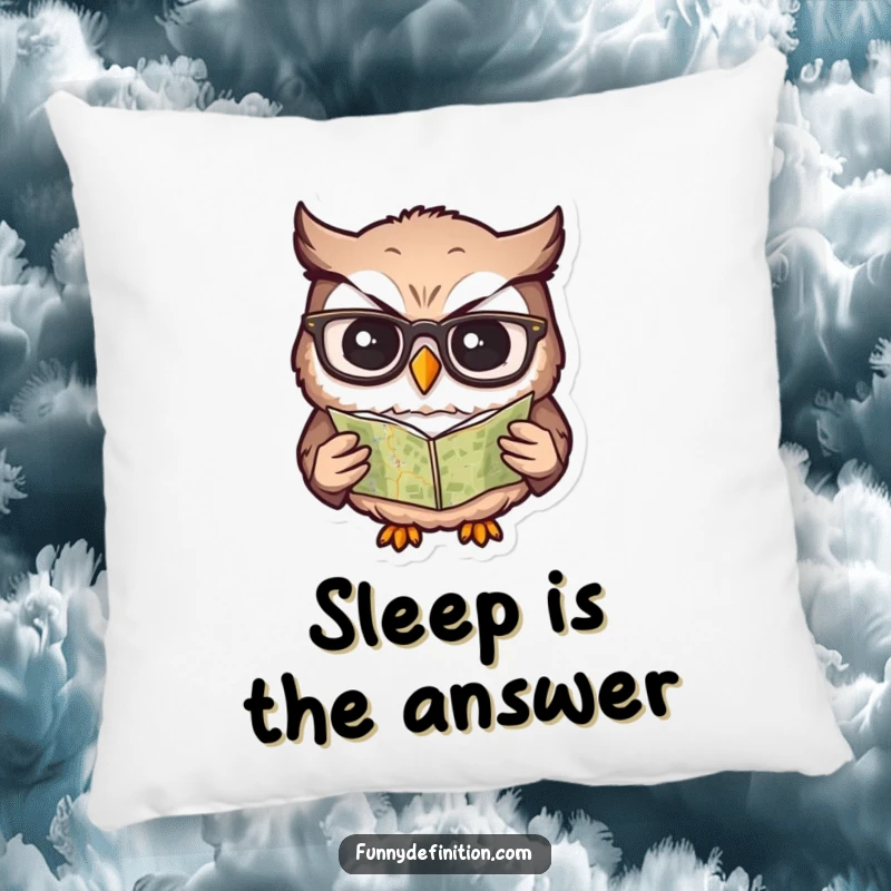 Funny pillow with a confused owl wearing glasses, trying to read a tiny map, offering comfort and humor.